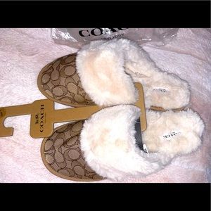 Coach slippers
